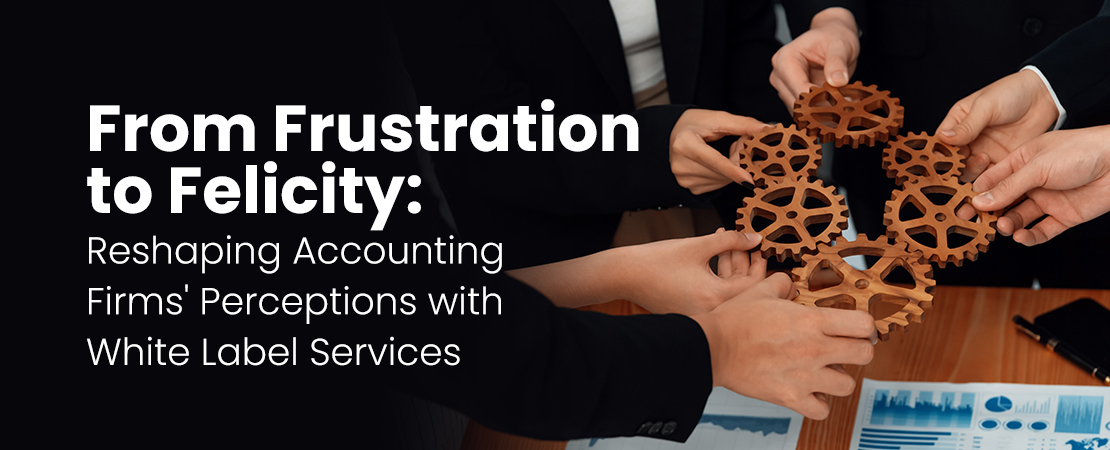 From Frustration to Felicity - Reshaping Accounting Firms' Perceptions with White Label Services